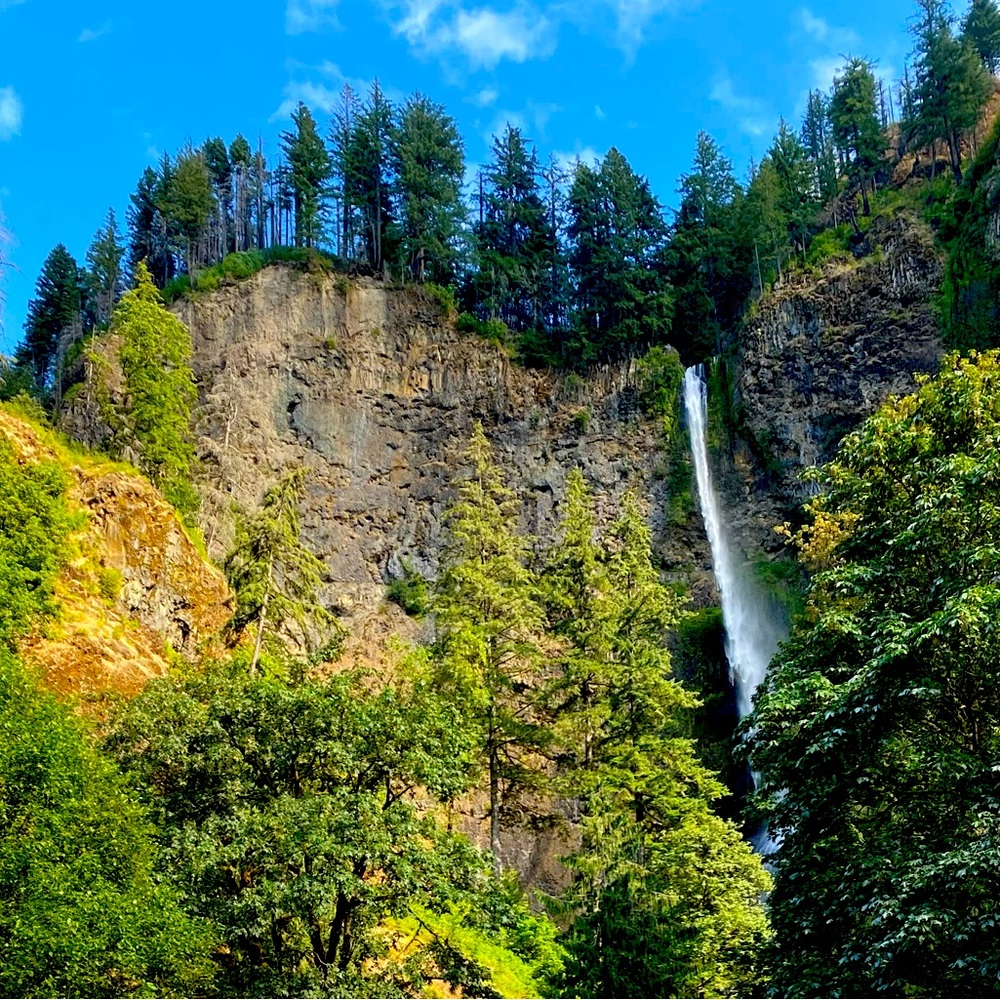 Meet your Posher, Nina